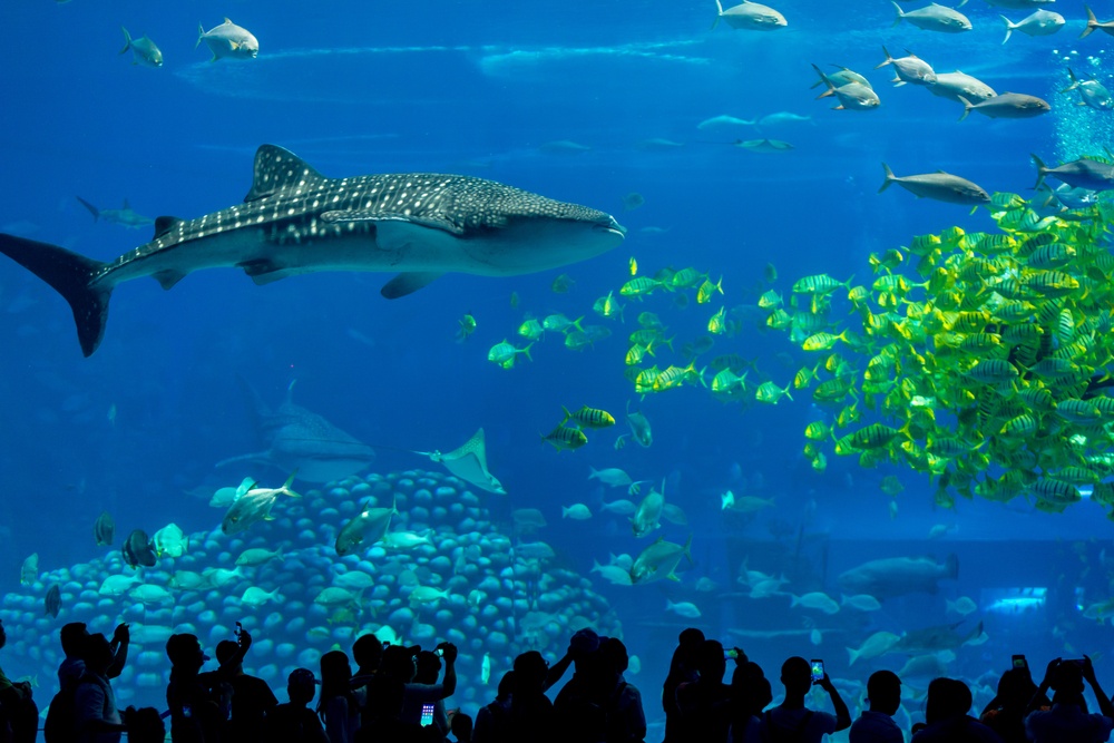 World of Aquarium