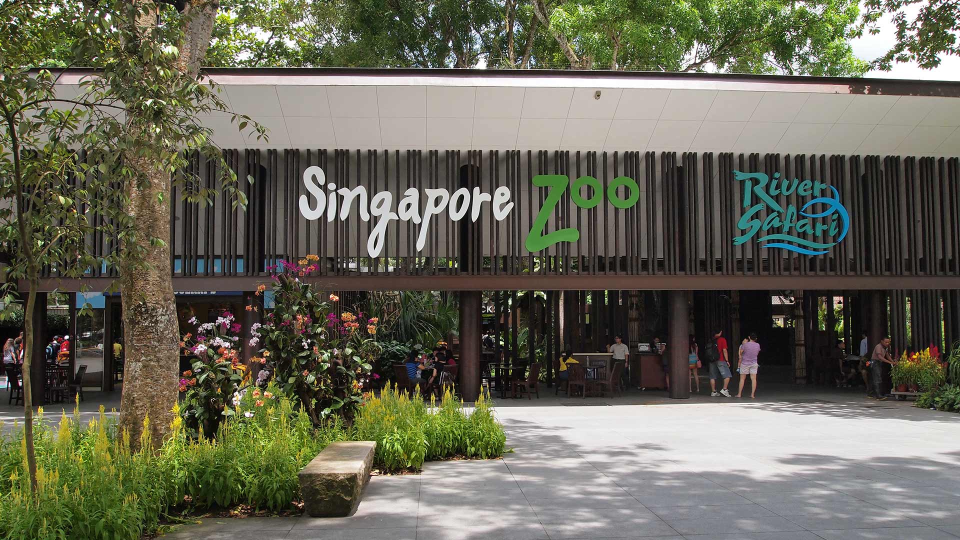 Singapore Zoo