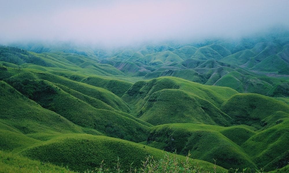 Dzukou Valley, Nagaland – The Monsoon Bloom. Lush green landscapes of Sikkim in July