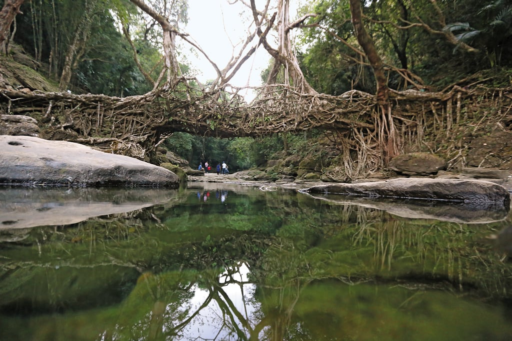 1. Meghalaya – Home of the Living Root Bridges