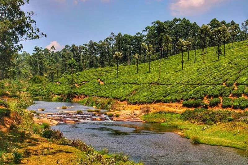 Valparai – Tamil Nadu. 7 Hidden Monsoon Destinations in India
